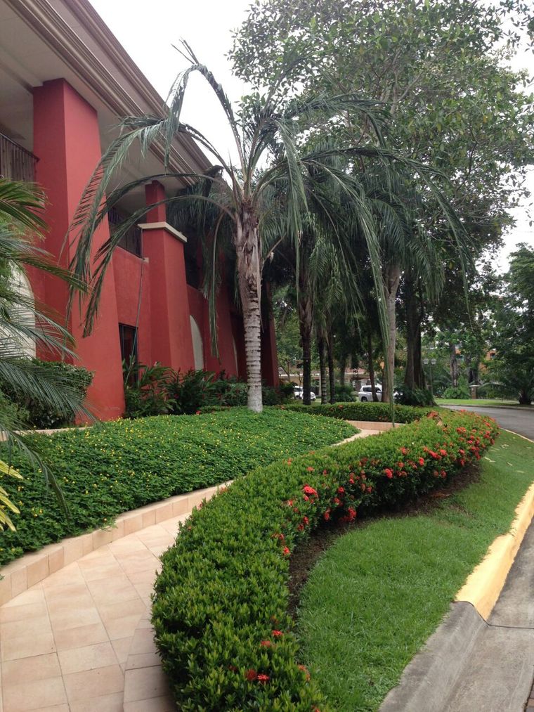 Acera peatonal bordeada de setos y flores rojas junto a un edificio color terracota