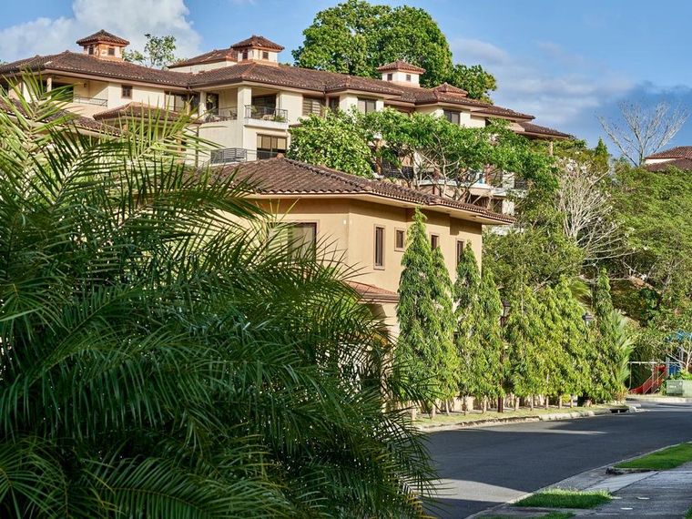 Calle del residencial con edificaciones de techo de teja entre palmeras y árboles