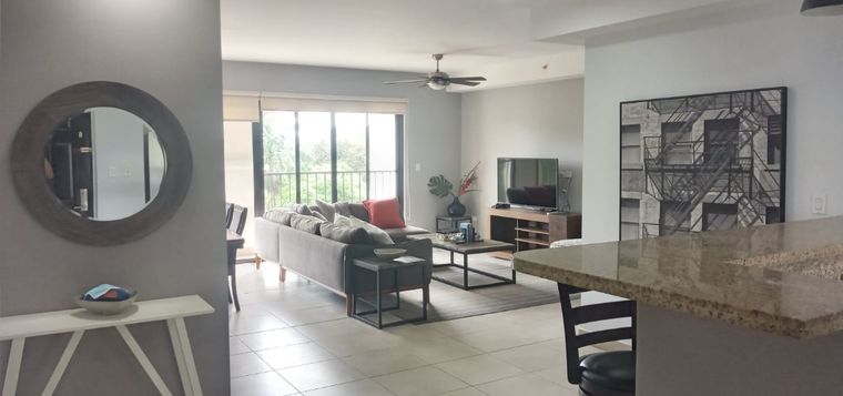 Sala de un apartamento Courtyard con ventanal, sofá gris y barra de cocina de granito